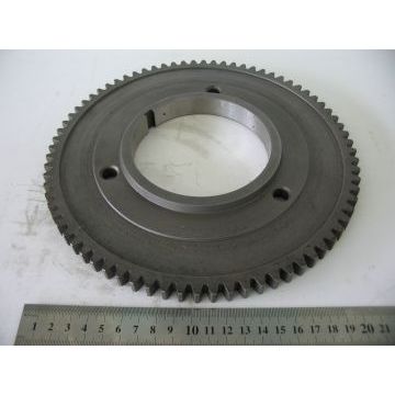 Шестерня 841.1011240 ведущая привода масляного насоса (ТМЗ) Шестерня 841.1011240 ведущая привода масляного насоса (ТМЗ)