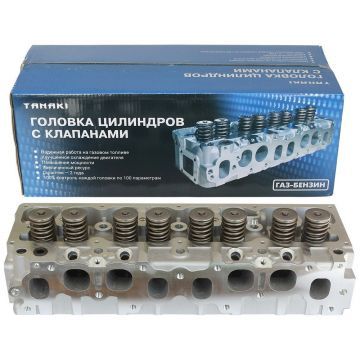 Головка 840.1003010-20/23 блока цил. с клап. в сборе (ТМЗ) ДУБЛЬ Головка 840.1003010-20/23 блока цил. с клап. в сборе (ТМЗ) ДУБЛЬ